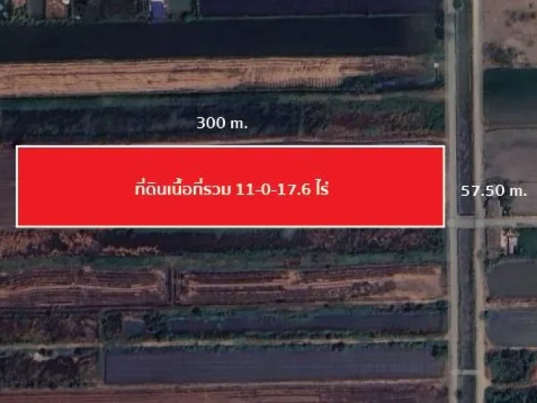 ขายด่วน ที่ดิน 11 ไร่ ทำเลดี ย่านคลองสาม คลองหลวง ปทุมธานี