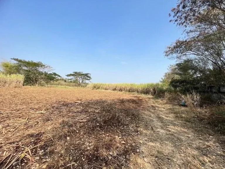 ขายที่ดินสวยติดถนนใหญ่ อำเภอหนองเรือ จังหวัดขอนแก่น