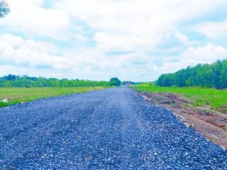 ขายที่ดินคลองสิบเอ็ด หนองเสือ ใกล้วัดป่า ที่ถมแล้ว