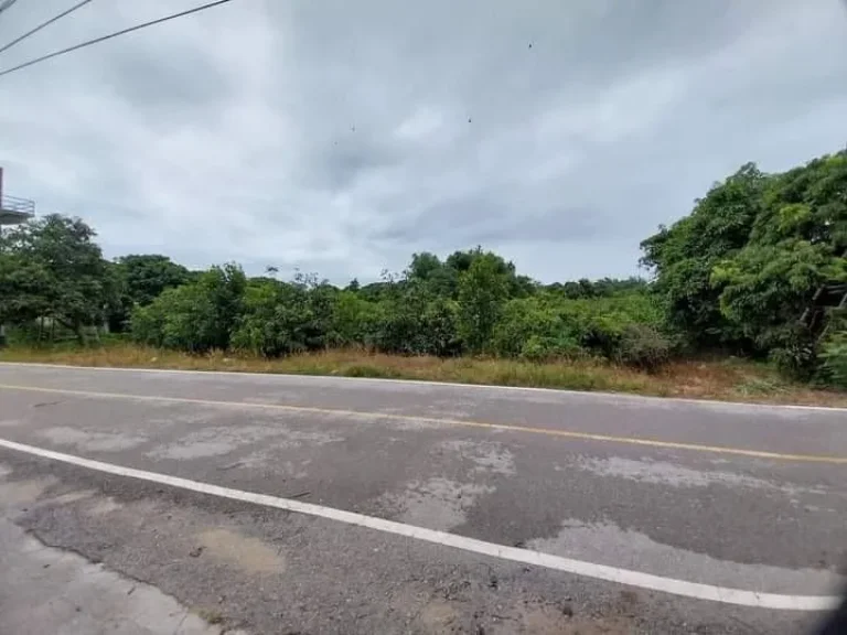 ขายที่ดินติดแม่น้ำปิงบ้านสบเตี๊ยะจอมทองติดถนนติดน้ำโฉนด