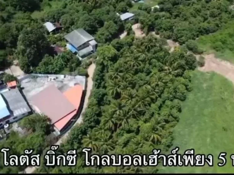 ขายที่ดิน เนื้อที่ 1-1-56ไร่ มี2แปลงให้เลือก ตบ้านอิฐ