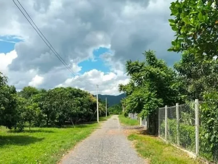 ขายที่ดินติดลำน้ำสองด้านติดถนนสองด้านแม่ออนวิวดอยโฉนด