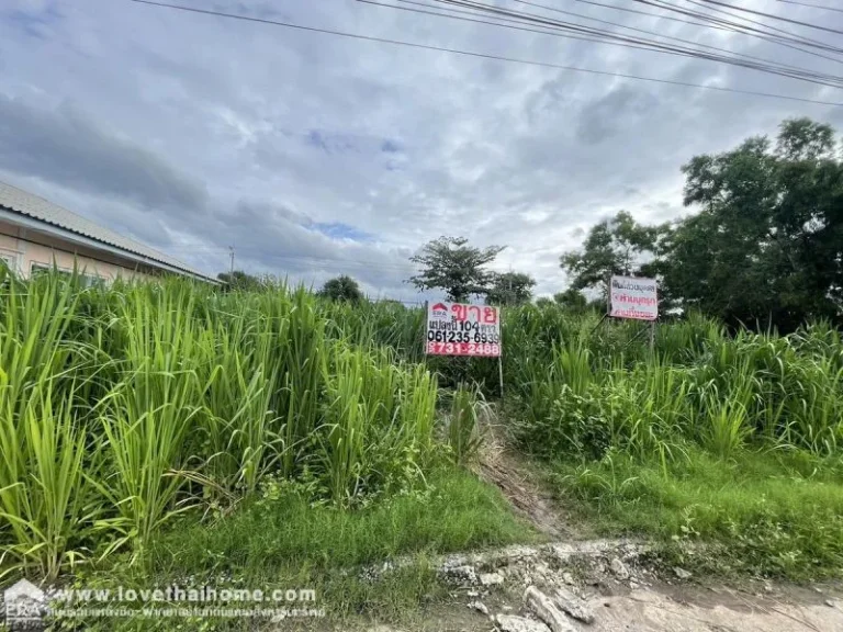 ขายที่ดินถมแล้ว หมู่บ้านเมืองเอก ซอยเอกรัฐ 12 ถนนพหลโยธิน