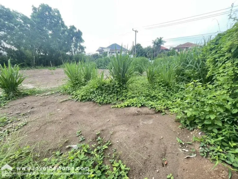 ขายที่ดินถมแล้ว หมู่บ้านเมืองเอก ซอยเอกรัฐ 12 ถนนพหลโยธิน