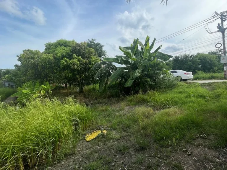 ขายที่ดิน 21 ไร่ ติดถจงถนอม วัดต้นเชือก ตบ้านใหม่ บางใหญ่