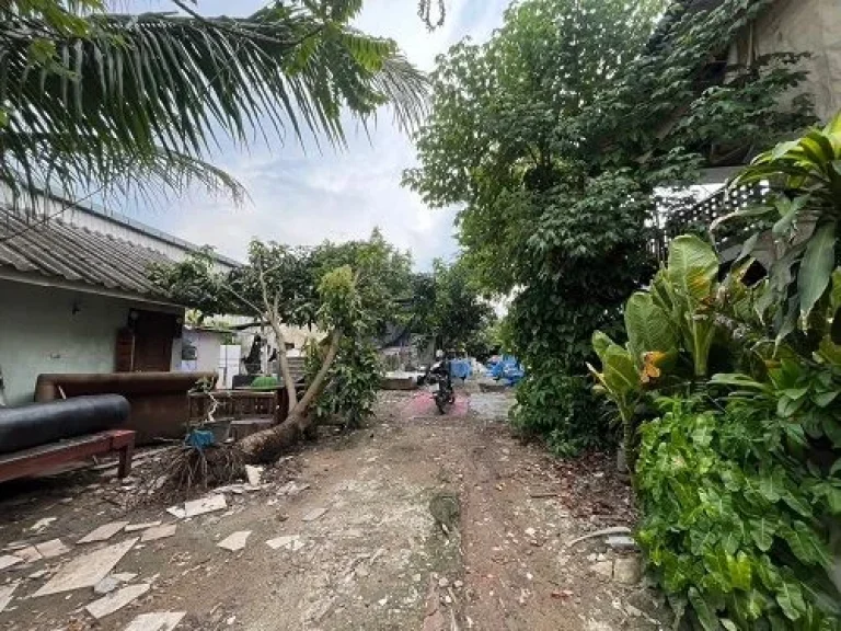 ขายที่ดินแถมบ้าน เลียบวารี75 หนองจอก พื้นที่ 400 ตรว