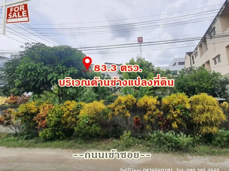 ขาย ที่ดิน ผังสีแดง แปลงสวย อเมืองเชียงราย 833 ตรว