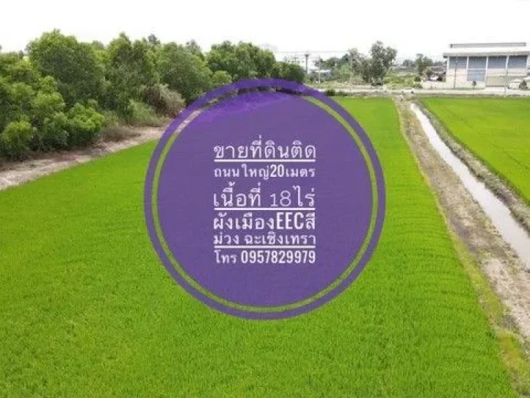 ขายที่ดิน ติดถนนใหญ่ 18 ไร่ ถตลาดสดปองพล คลองเปรง สุวินทวงศ์