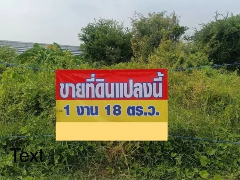 ขาย ที่ดิน 118 ตรว ถนนเลียบคลองเนินทราย เข้าออกได้ 2 ทาง คือ