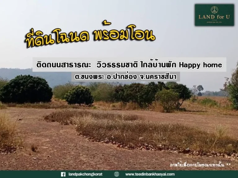 ขายที่ดินเขาใหญ่ ที่ดินวิวภูเขาล้อมรอบ ที่ดินติดถนน