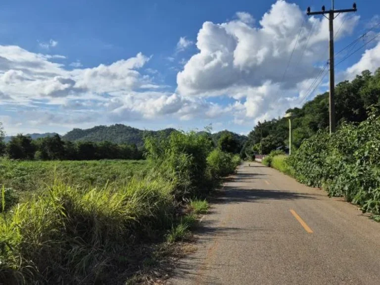 ขายที่ดิน 9 ไร่ ปากช่อง โครราช ใกล้ถนนมิตรภาพ ฟาร์มโชคชัย