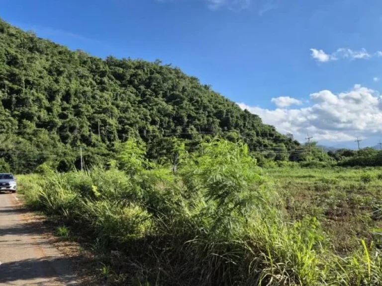 ขายที่ดิน 9 ไร่ ปากช่อง โครราช ใกล้ถนนมิตรภาพ ฟาร์มโชคชัย