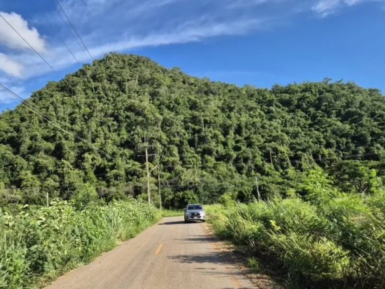 ขายที่ดิน 9 ไร่ ปากช่อง โครราช ใกล้ถนนมิตรภาพ ฟาร์มโชคชัย