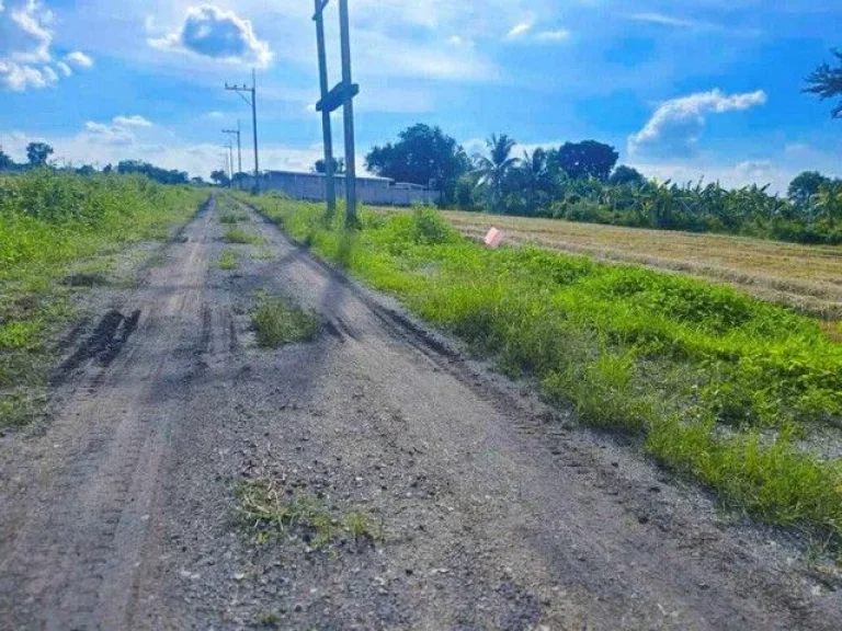 ที่ดินคลอง9 หนองเสือ ปทุมธานี 100 ตรว 390000