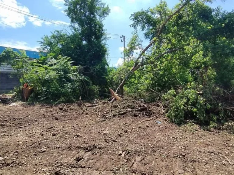 ขายที่ดิน 48 ตรว ถนิมิตรใหม่ เหมาะปลูกบ้าน ขายถูกสุดๆๆ