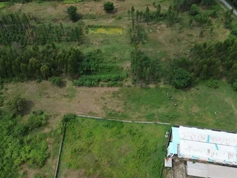 Land for sale Maha Sarakham ขายที่ดิน มหาสารคาม 2 ไร่ 2 งาน