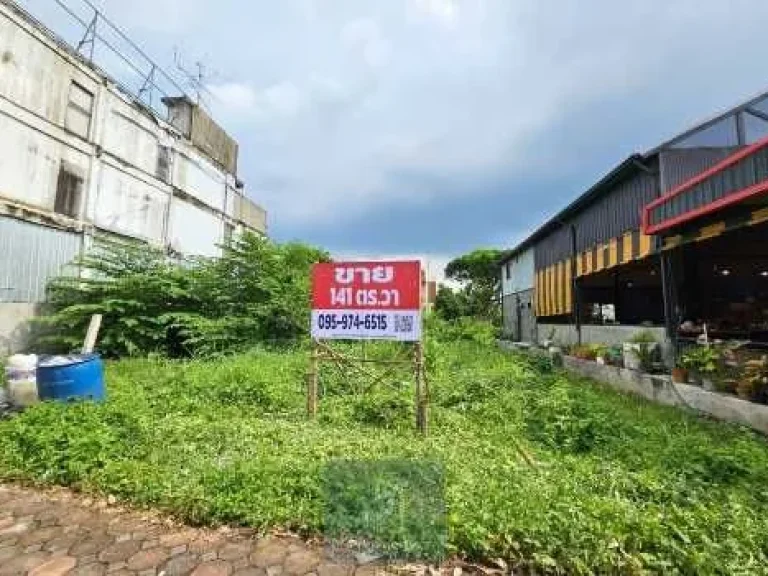 ขาย ที่ดินเปล่า 141 ตรว ซลำลูกกา 10 ติด ถลำลูกกา ทำเลดี