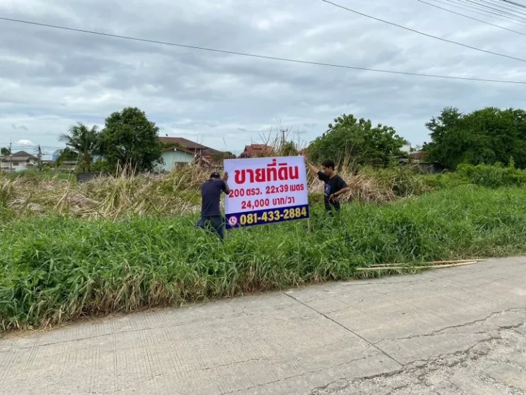 ขายที่ดิน 200 ตรว ลำลูกกา 112 - เนื้อที่ 200 ตรว ขนาด