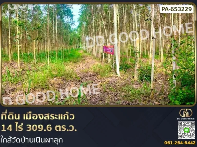 ที่ดิน เมืองสระแก้ว 14 ไร่ 3096 ตรว ใกล้วัดบ้านเนินผาสุก