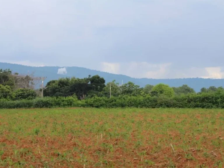 ขายที่ดินเขาใหญ่ เขาใหญ่ปากช่อง วิวภูเขามองเห็นทอสกาน่า