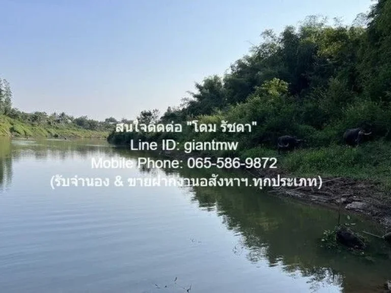 ขายที่ดินไร่อ้อย เนื้อที่ 45-0-319 ไร่ ติดแม่น้ำเลย