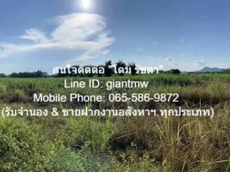 ขายที่ดินไร่อ้อย เนื้อที่ 45-0-319 ไร่ ติดแม่น้ำเลย