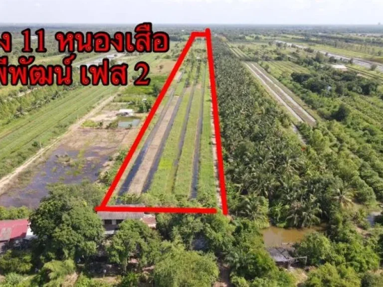 ขายที่ดิน คลอง 11 รพีพัฒน์ โครงการ 2 เนื้อที่ 2 ไร่ หนองเสือ