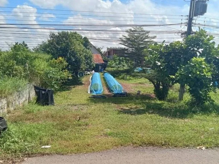 ขายด่วน ที่ดินหนองคายโพนสา ตรงข้ามหาดท่ามะเฟือง ขนาดพื้นที่