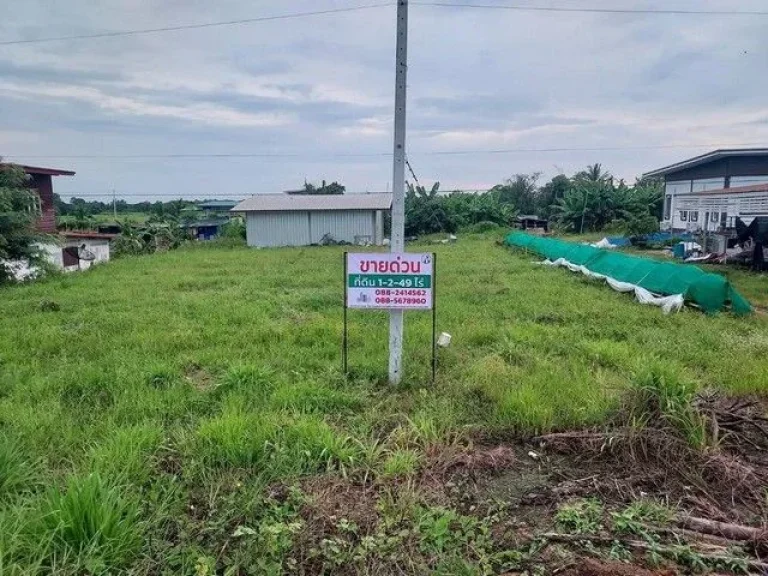 ขายด่วน ที่ดินหนองคายโพนสา ตรงข้ามหาดท่ามะเฟือง ขนาดพื้นที่