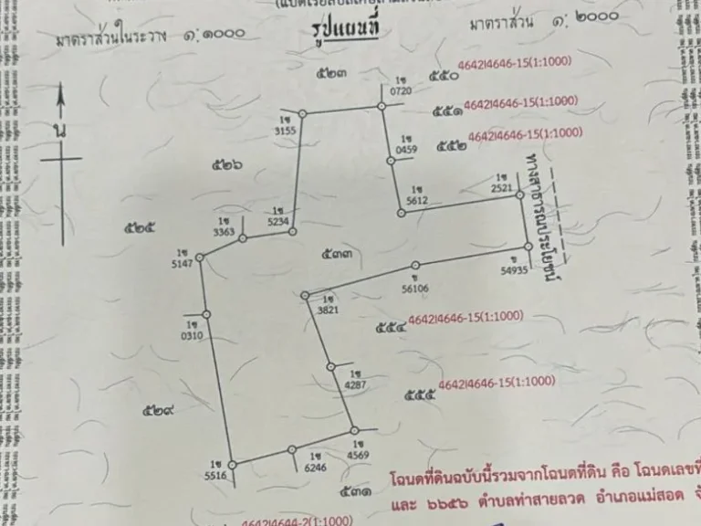 ขายที่ดินหายาก rare item ท่าอาจ แม่สอด คลัง 131 เดิม 8 ไร่