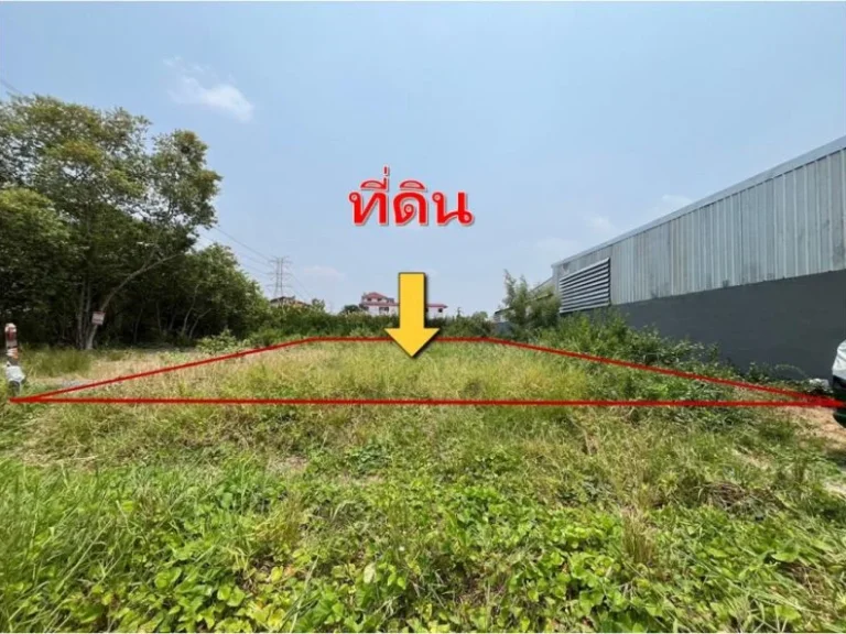 ขาย ที่ดิน 100 ตรว พุทธมณฑล สาย 3 แยก22 เข้าซอย 250ม เหมาะ