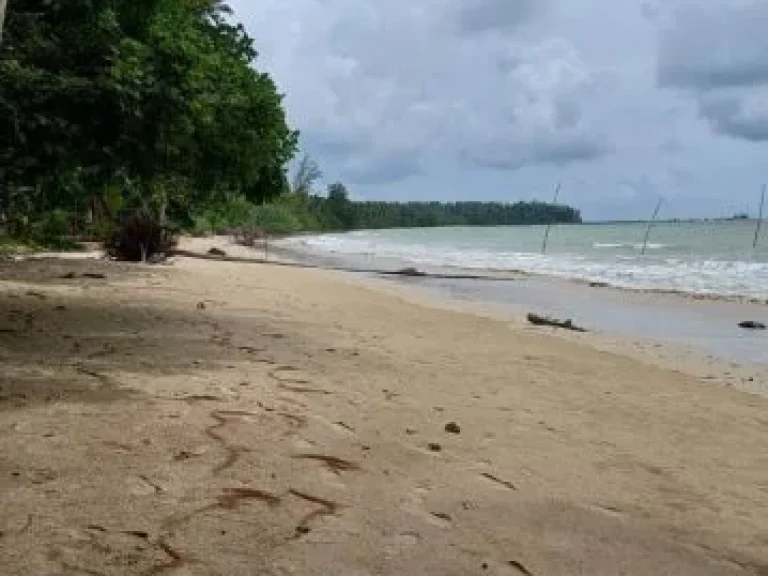 ขายที่ดินจิดหาดภูเก็ตบนหาดสวยส่วนจั๊วส่วนตัว