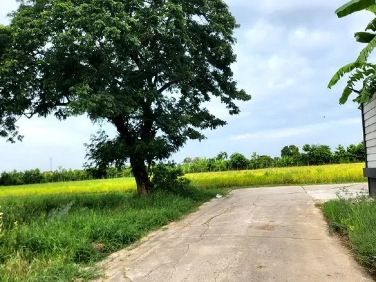 ขายที่ดิน ซอยเลียบวารี 75 ถนนสุวินทวงศ์ แขวงโคกแฝด เขตหนองจอก