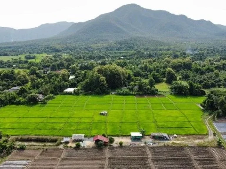 ขายที่ดินวิวดอย วิวทุ่งนามีทางเข้าบรรยากาศดีเขตแม่ออนใกล้สถา