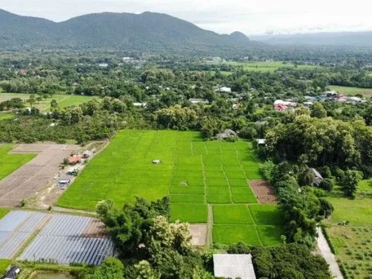 ขายที่ดินวิวดอย วิวทุ่งนามีทางเข้าบรรยากาศดีเขตแม่ออนใกล้สถา