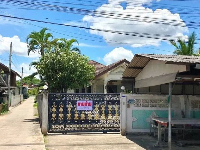 ขายบ้านเดี่ยวชั้นเดียว ใกล้วัดท้ายหาด ตท้ายหาด อเมือง