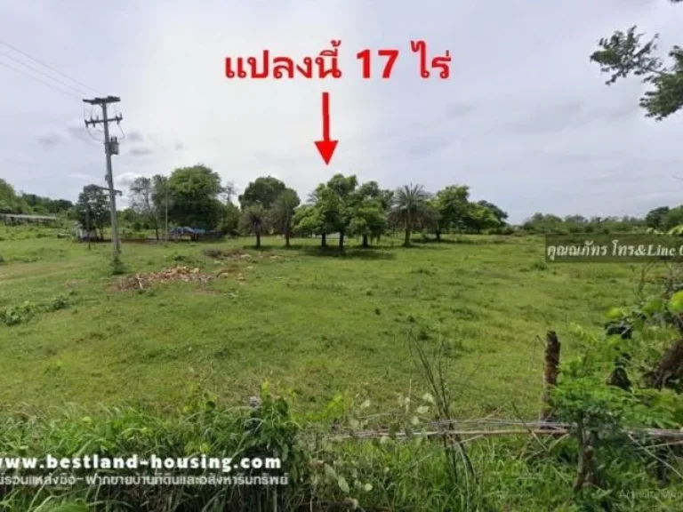 ขายที่ดิน 1 ไร่ถึง 17 ไร่ เขาใหญ่ ปากช่อง ใกล้สนามกอล์ฟ 16