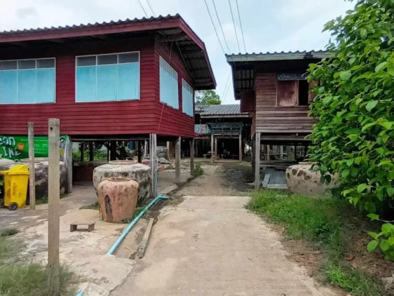 ขายที่ดิน ซอยวัดสุนทราราม ห่อหมก ถนนบ้านใน พื้นที่ 172 ตรว