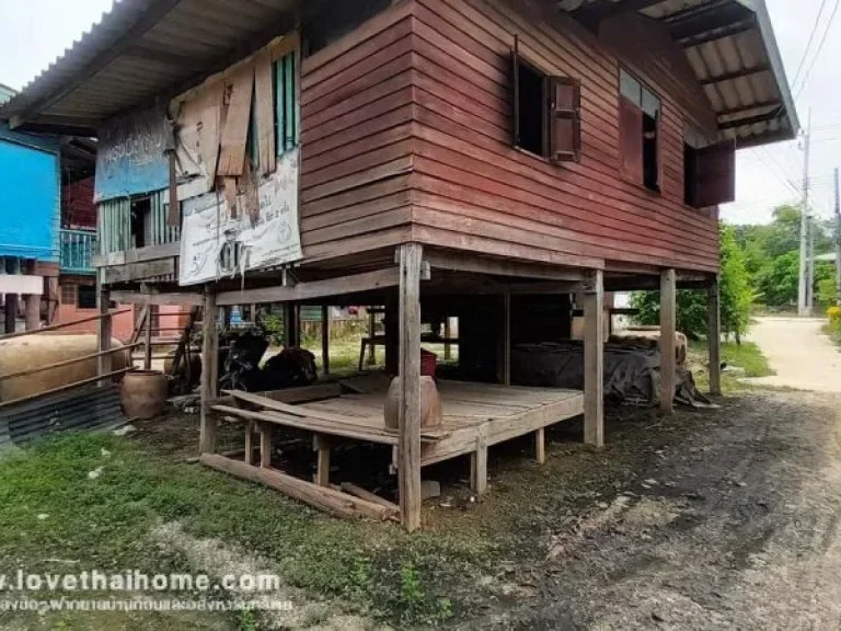 ขายที่ดิน ซอยวัดสุนทราราม ห่อหมก ถนนบ้านใน พื้นที่ 172 ตรว