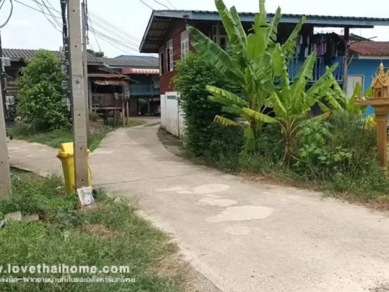 ขายที่ดิน ซอยวัดสุนทราราม ห่อหมก ถนนบ้านใน พื้นที่ 172 ตรว