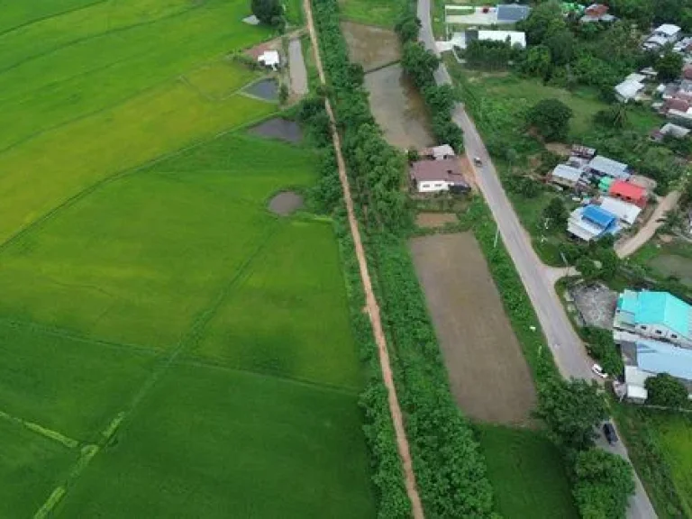 Land for sale Chaiyaphum ขายที่ดินชัยภูมิ มี 2 แปลง