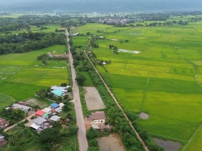 Land for sale Chaiyaphum ขายที่ดินชัยภูมิ มี 2 แปลง