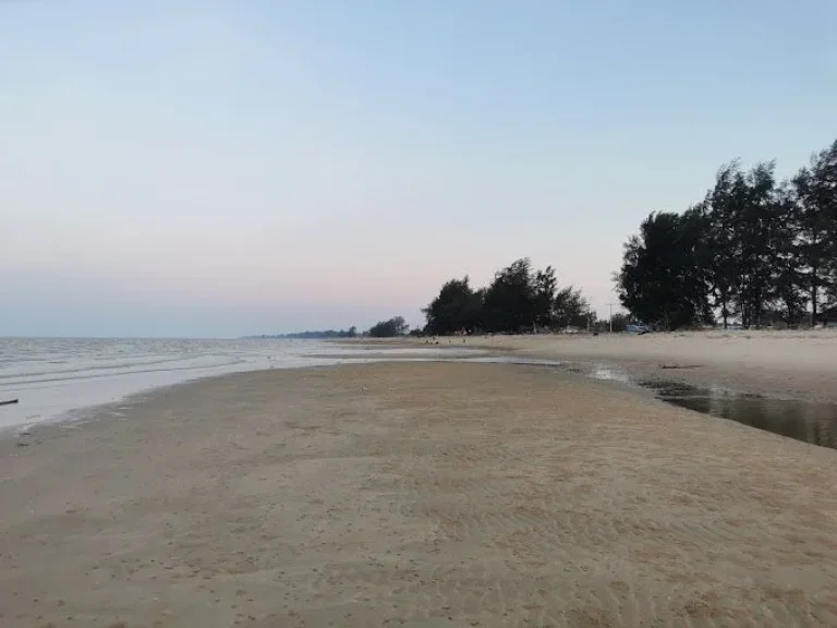 ที่ดินติดทะเลหาดนิยม สุราษฎร์ธานี ทำเลพิเศษ หน้าติดทะเล