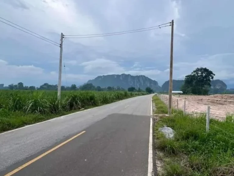 ขายที่ดิน ทำเลดี วิวเขาสวิตเซอร์แลนด์ จังหวัดอุทัยธานี