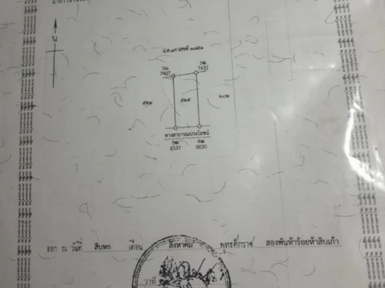 ขายที่ดิน ขนาด 1 ไร่ ตสันกลาง อสันป่าตอง จเชียงใหม่