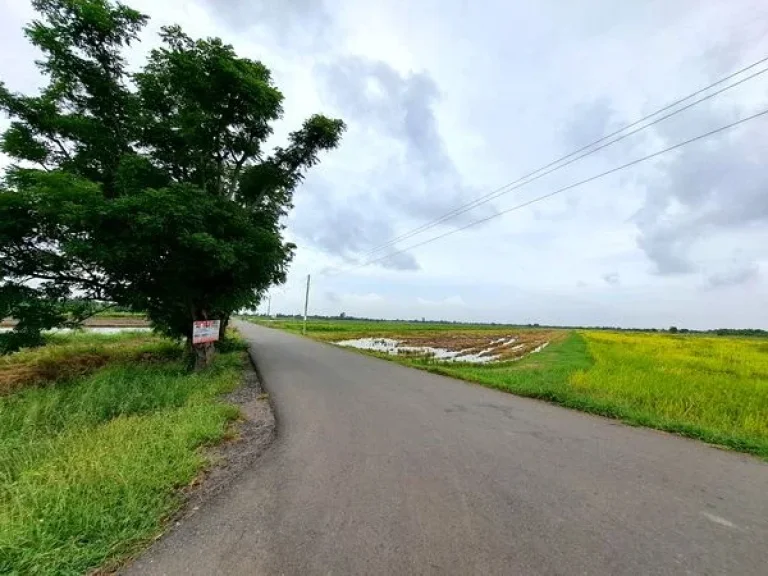 ขายที่ดิน บึงเทพยา ถนนสุวินทวงศ์ ตําบลบางน้ําเปรี้ยว