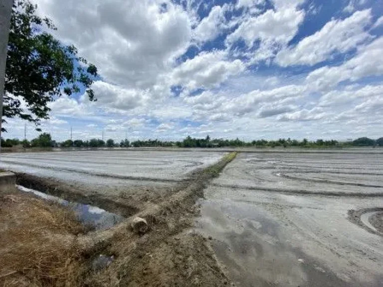 ขาย ที่ดิน ใกล้ถนนเศรษฐกิจ 1 บางปลา มหาชัย สมุทรสาคร เนื้อที่