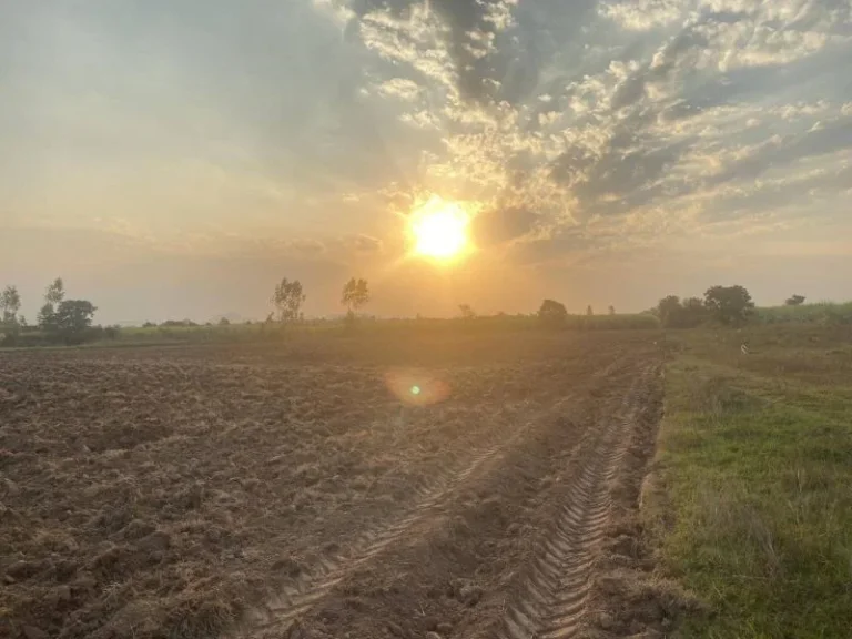 ขายที่ดินทำเลดี 5 ไร่ ตำบลธรรมเสน อำเภอโพธาราม จังหวัดราชบุรี