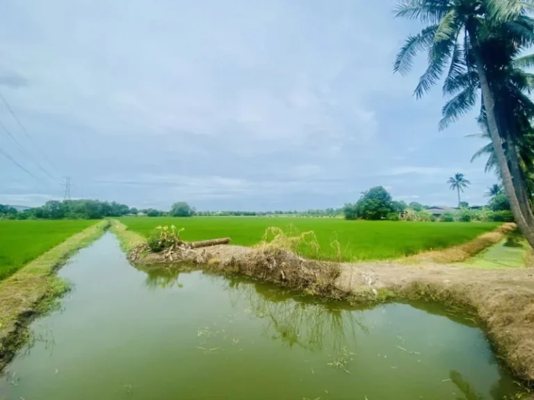 ขาย ที่ดิน บางบัวทอง ติดถนนวัดลาดปลาดุก เนื้อที่ 23 ไร่