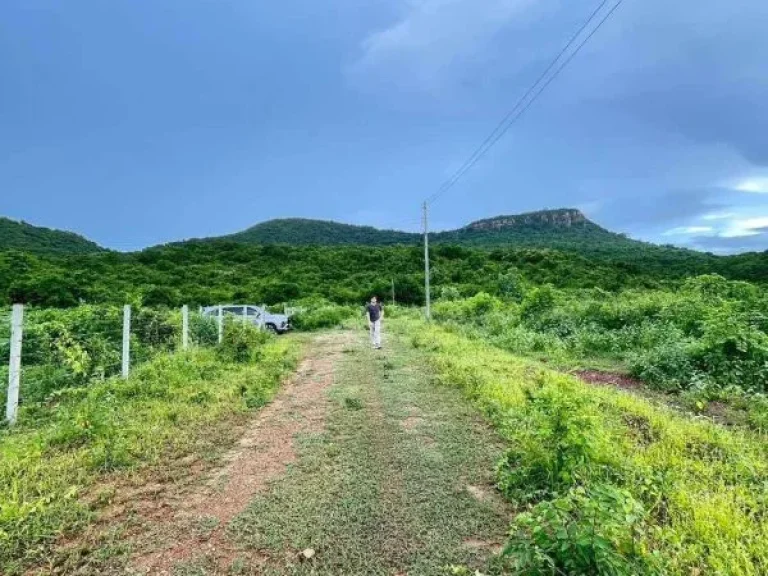 ขายถูกมาก ที่ดินแบ่งขาย 1 ไร่ ผ่อนได้ วิวสวย บรรยากาศดี